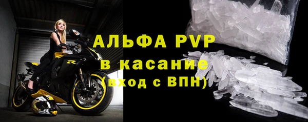 сатива Магадан