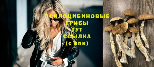 а пвп мука Алзамай